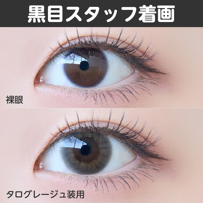 【ワンデー】タロジョム/10p/タログレージュ