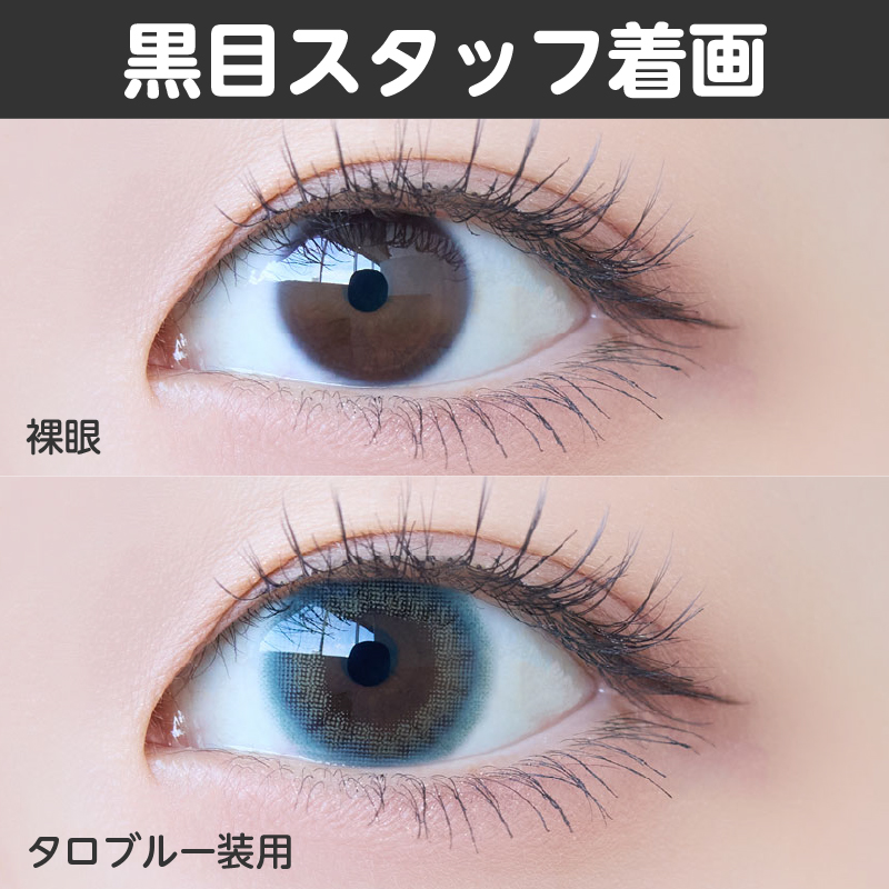 【ワンデー】タロジョム/10p/タロブルー