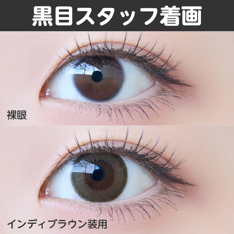 【ワンデー】インディ/10p/インディブラウン