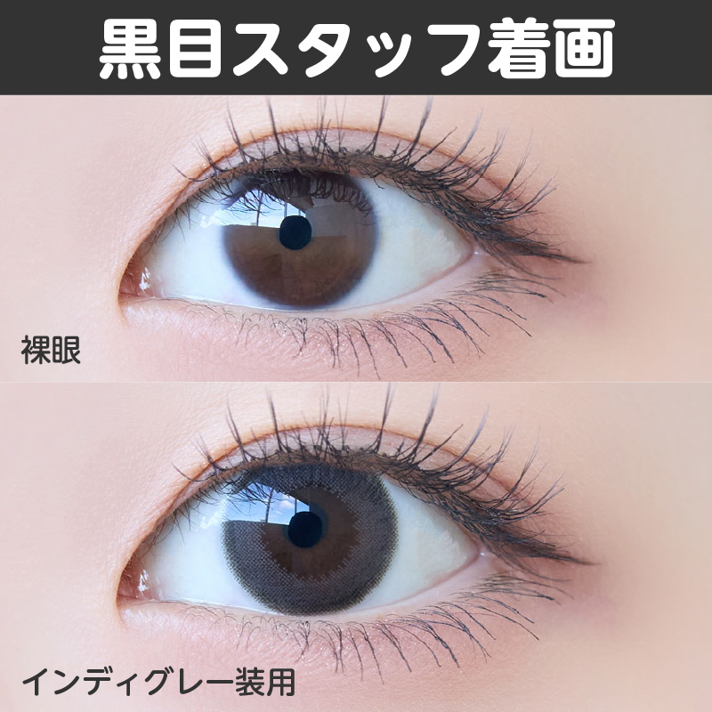 【ワンデー】インディ/10p/インディグレー