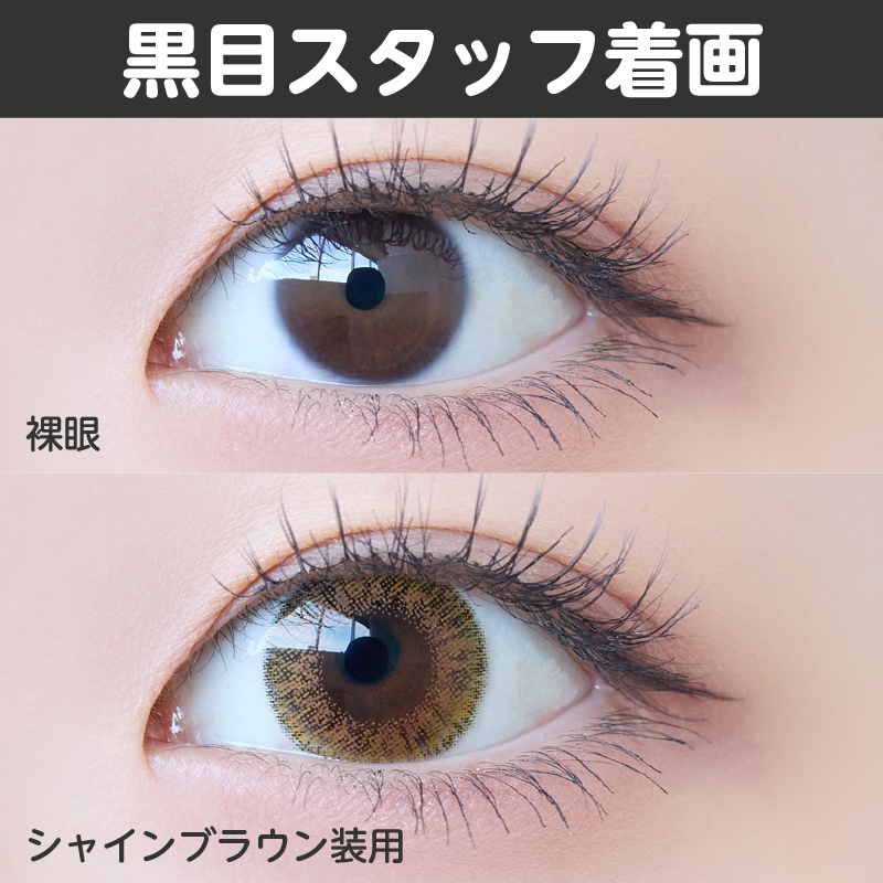 【ワンデー】シャイン/10p/シャインブラウン