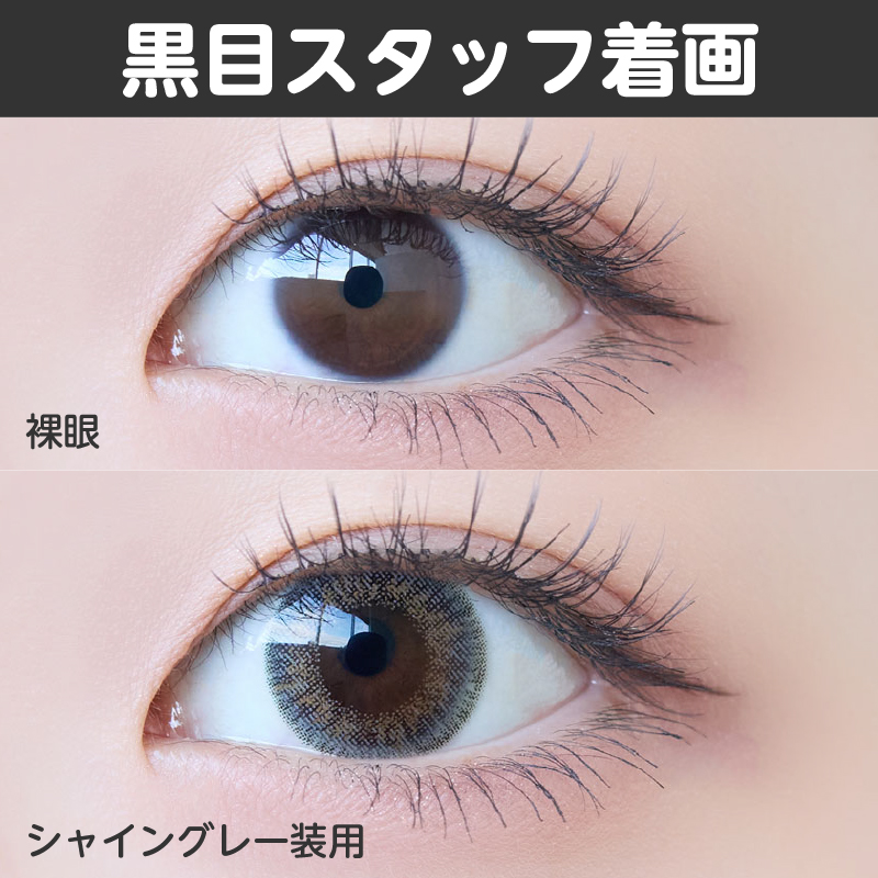 【ワンデー】シャイン/10p/シャイングレー