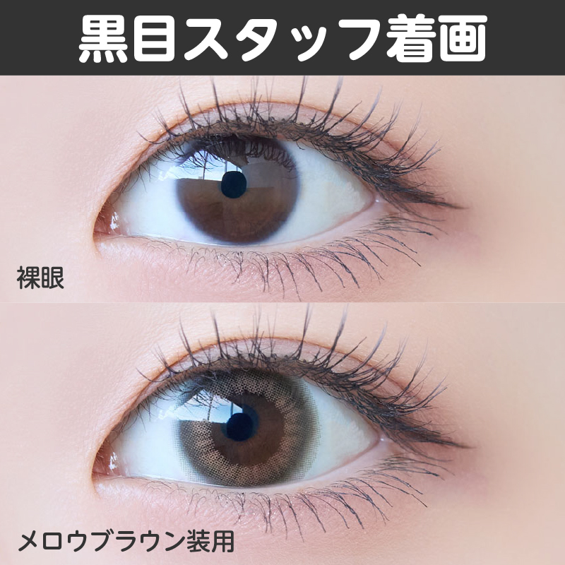 ※度なし欠品中※【ワンデー】メロウ/10p/メロウブラウン