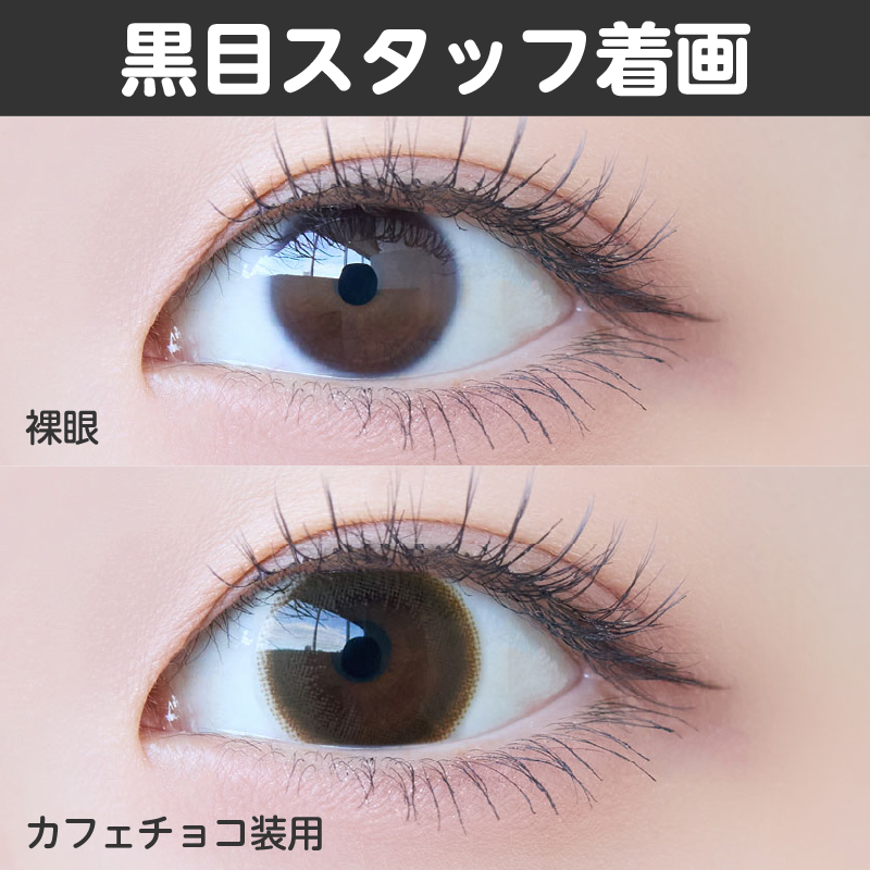 【ワンデー】マグ/10p/カフェチョコ