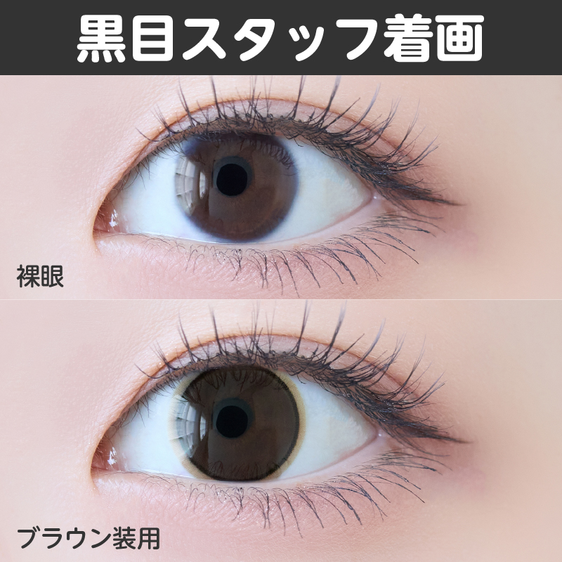 【1ヶ月】ベールリング/2p/ブラウン