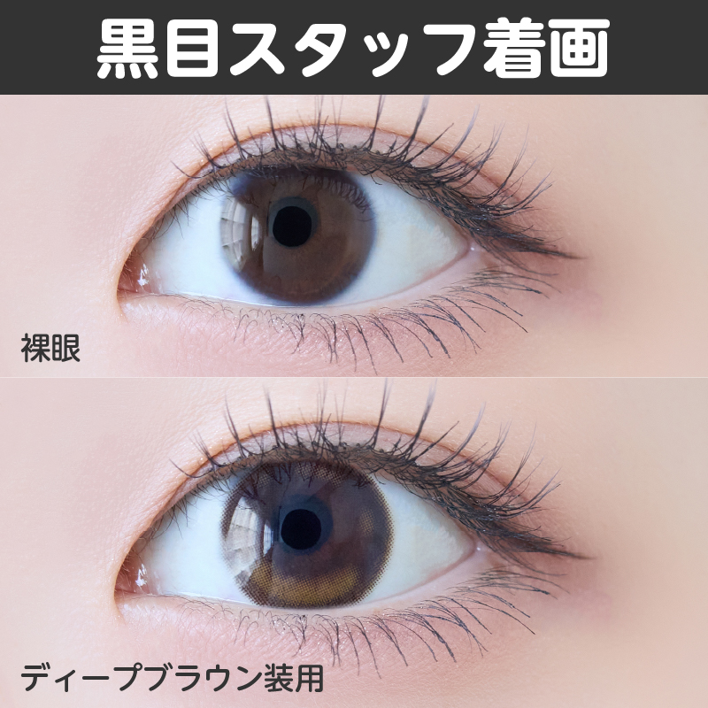 【1ヶ月】ルナンルミエ/2p/ディープブラウン