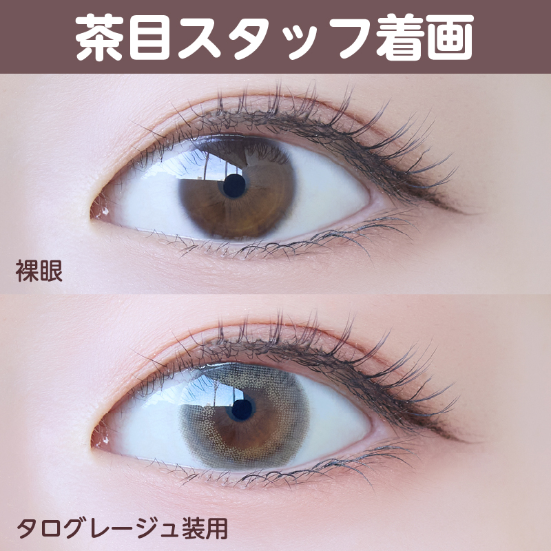 【ワンデー】タロジョム/10p/タログレージュ