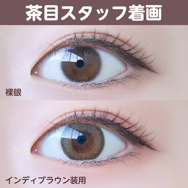 【ワンデー】インディ/10p/インディブラウン