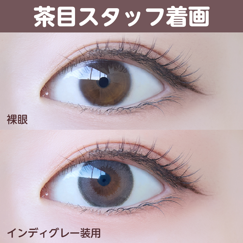 【ワンデー】インディ/10p/インディグレー