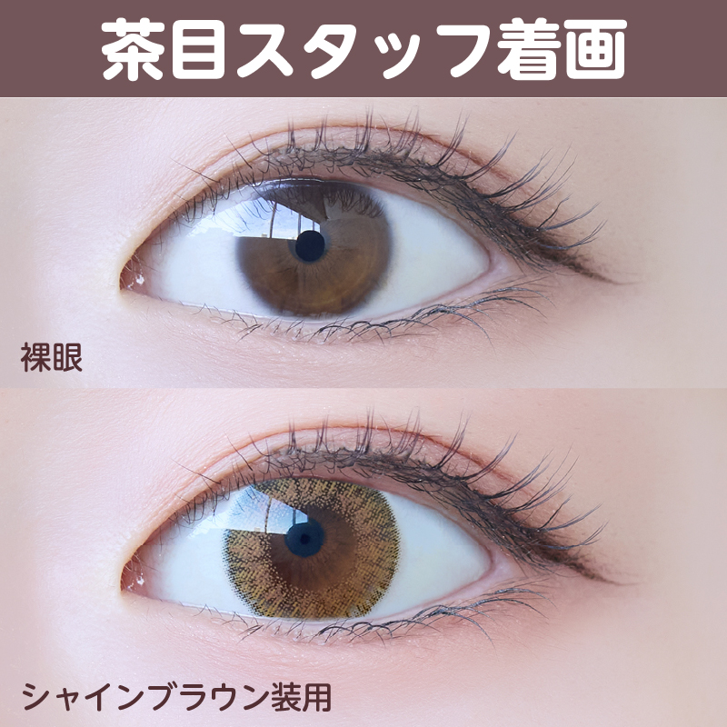 【ワンデー】シャイン/10p/シャインブラウン