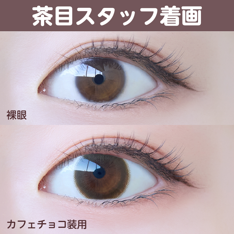 【ワンデー】マグ/10p/カフェチョコ