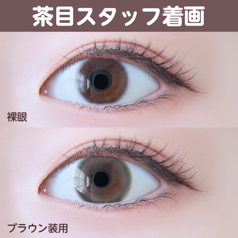 【1ヶ月】パウダリー/2p/ブラウン