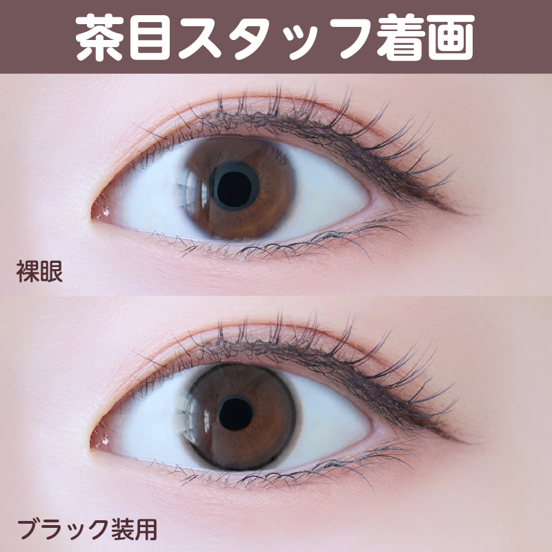 【1ヶ月】ベールリング/2p/ブラック